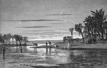 Landscape near Saint Louis in the border region of Senegal and Gambia, Senegal River, palm trees,