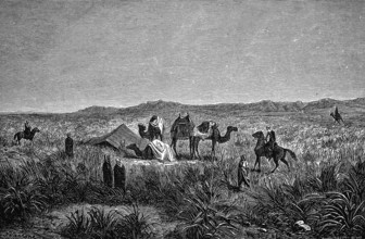 Tent camp south of the Algerian Atlas Mountains, camels, men, woman, bush vegetation, horses,