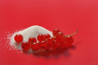 Redcurrants and piles of sugar