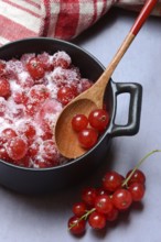 Redcurrants with sugar in pots, Ribes rubrum