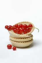 Redcurrant in cake tartlets, ready-made tartelette