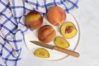 Peach with knife on plate, peach halves, Prunus persica