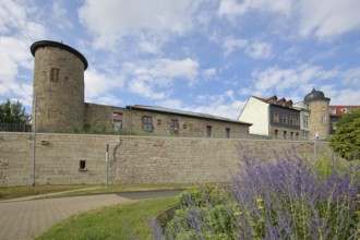 Towers with historical town wall, town fortification, flower bed, building, Luisenblick,