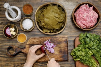 Preparing dolma involves finely chopping onions and mixing them with spices, rice, and ground meat.