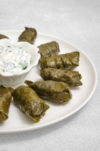 Freshly cooked dolma are plated with a side of yogurt sauce, demonstrating a homely cooking