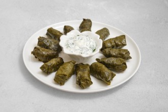 A plate of homemade dolma sits on a kitchen counter, showcasing tender grape leaves filled with