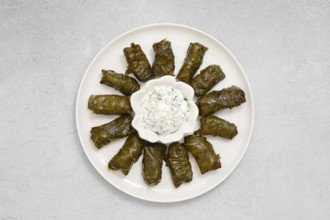 Freshly prepared dolma sits on a plate, featuring stuffed vine leaves neatly arranged. A bowl of