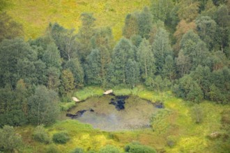 Swamp in a vally from Mount Hohneck in the Vosges Mountains, France