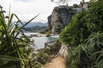 Hiking trail by the sea, Menton, Alpes Maritimes, Provence Alpes Cote d'Azur, French Riviera, South