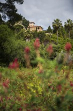 Botanical Garden, Giardino Hanbury, La Mortola, near Ventimiglia, Riviera dei Fiori, Liguria, Italy