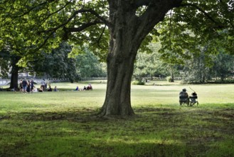 Group of people meeting in Kleistpark in summer weather, a man sits with his daughter under a shady