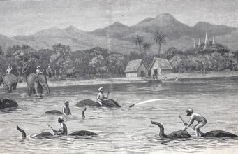 Bathing and swimming elephants in Burma in 1870, Historical, digitally restored reproduction from a