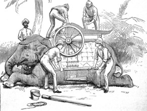 Charging a gun on an elephant in Burma in 1870, Historical, digitally restored reproduction from a
