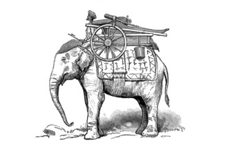 Gun elephant in Burma in 1870, Historical, digitally restored reproduction from a 19th century