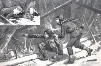 Moose hunt in Nova Scotia, Hunter with rifle and shot moose, 1880, Canada, Historical, digitally
