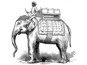 Ammunition carrier, rider and boxes with ammunition on an elephant in Burma in 1870, Historical,