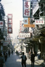 Busy street of shops and signs in English and Mandarin including for Tai Cheong Tailors, Wellington