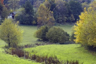 Green meadows and a village house in a rural autumn landscape, Siegen