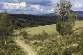 Sandy dirt track winds through rolling hills and meadows under a cloudy sky, Kreuztal, Siegerland