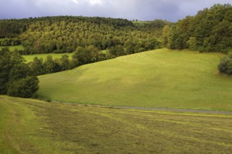 Gently rolling hills with green meadows and neighbouring forest, Siegen