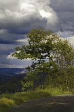 Dramatic sky over a rural landscape with green trees and meadows, Kreuztal