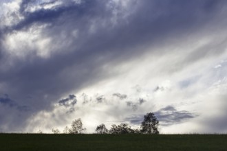 Silhouette of trees under an expansive sky with a dramatic cloudy evening sky, Siegen