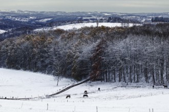Snowy landscape with hills and forests under a cloudy sky, calm atmosphere, Siegen