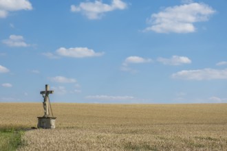 A stone cross stands in a wheat field under a blue sky with light clouds, Münsterland, North