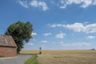 A rural house next to a field with a field cross and a tree in the foreground under a blue sky with