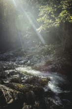 Gorge, Wildbad Kreuth, Kreuth, Upper Bavaria, Bavaria, Germany