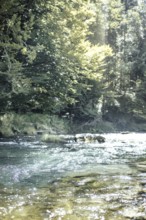 Mangfall near Bruckmühl, district of Miesbach, Upper Bavaria, Bavaria, Germany