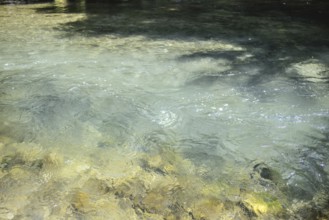 Mangfall near Bruckmühl, district of Miesbach, Upper Bavaria, Bavaria, Germany