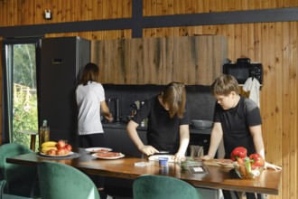 Mother washes dishes while her sons are preparing healthy breakfast in a spacious kitchen of a