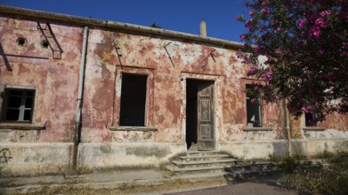 Lost Place, Dilapidated building with peeling plaster, surrounded by flowering tree under clear