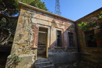 Lost Place, Overgrown old building with graffiti and open doorway, surrounded by vegetation, Radio