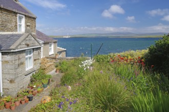 Stone cottage by the sea with flowering garden surrounded by peaceful coastal landscape, Stromness,
