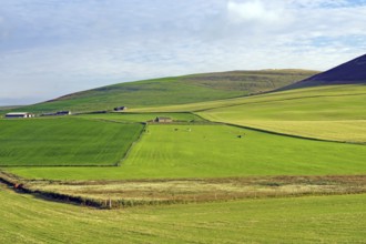 Green fields and hills under a partly cloudy sky, Mainland, Orkney Islands, Scotland, Great Britain