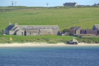Rural scene with houses by the sea and green fields in the background, Lambholm, Orkney Islands,