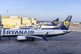 Ryanair Boeing 737 aircraft at Palma de Majorca Airport, Spain