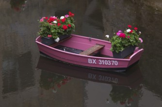 Boat, pink, pink, decorated with flowers, on the river Aure, tanners' quarter, old town, Bayeux,