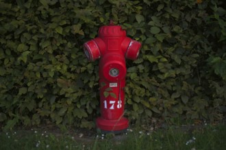 Hydrant, red, Bayeux, Normandy, Calvados, France