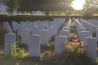 War graves, military graves, flowers, roses, British and German military cemetery, Cimetière