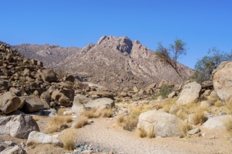 Tsisab Gorge, White Lady Trail, desert landscape with mountains, Brandberg, Erongo, Damaraland,
