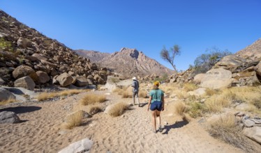 Tourist with guide on the White Lady Trail, Tsisab Gorge, desert landscape, Brandberg, Erongo,