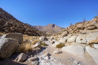 Tsisab Gorge, White Lady Trail, desert landscape, Brandberg, Erongo, Damaraland, Namibia