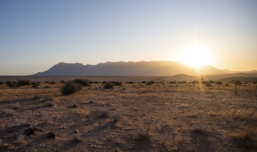 Desert landscape in the evening light at sunset, Brandberg, Erongo, Damaraland, Namibia