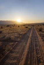 Sandy track, desert landscape in the evening light at sunset, backlit, Brandberg, Erongo,