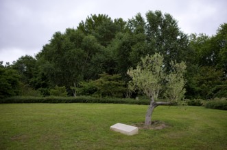 Separate memorial stone for the journalists in Gaza, Gaza Strip, Mémorial des Réporters, memorial
