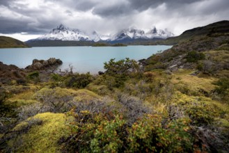 Cloudy mountain range Cuernos del Paine, shore of the blue lake Lago Pehoe in the evening light,