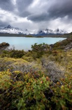 Cloudy mountain range Cuernos del Paine, shore of the blue lake Lago Pehoe in the evening light,